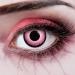 Aricona Pink Contact Lenses - Prescription-Free Colored Lenses for Carnival Mardi Gras & Cosplay | 2 Pieces - Buy Online on GoSupps.com