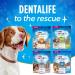 DentaLife ActivFresh Dog Treats for Small/Medium Breed Dogs - 439 g Pouch (1 Pack) 439 g (Pack of 1) - Buy Online on GoSupps.com