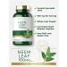 Carlyle Neem Leaf Capsules 950mg - 300 Count | Non-GMO, Gluten Free Traditional Herbal Supplement | Azadirachta Indica - Buy Online on GoSupps.com