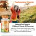 Doctor's Best Kids Vitamin D3 Gummies - All Natural Fruit Flavors, 25 mcg (1000 IU), 60 Pectin Gummies - Buy Online on GoSupps.com