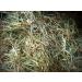 Second Cut Timothy Rabbit Hay from Elmsview Farms - 10lb Box of Small Pet Timothy Hay Mix - Buy Online on GoSupps.com