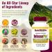 NutriBiotic DefensePlus Maximum Strength 45 Vegan Tablets - Immune Support & Antioxidants - Buy Online on GoSupps.com