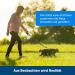 PetSafe Easy Walk Cat Harness - Size S Red | Elastic Bungee Leash for Comfortable Cat Walking | International Shipping Available - Buy Online on GoSupps.com