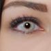 Charmiga Bonita Gray Contact Lenses - Opaque Gray Annual Lenses for Halloween Vampire Anime Cosplay | 2 Soft Lenses + Accessories - Buy Online on GoSupps.com