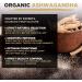 Organic Ashwagandha Powder 1kg - Rich in Vitamin B6 & B12 | MySuperfoods - Buy Online on GoSupps.com