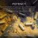 Gaia Herbs Immune Mushroom Blend - 40 Vegan Capsules for Immune Support - Buy Online on GoSupps.com