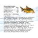 Aqueon Shrimp Pellets Fish Food 6.5 oz - Nutritious Pellets for Healthy Shrimp - 1 Pack - Buy Online on GoSupps.com