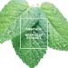 L'Oreal Paris EverPure Scalp Care Conditioner | Sulfate-Free for Color-Treated Hair | Invigorating Menthol & Neem Leaf - 8.5 oz - Buy Online on GoSupps.com