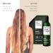 Lazartigue Repair Shampoo with Vegetal Keratin Strengthen & Restore Damaged Hair 16.9 Fl Oz | International Shipping Available - Buy Online on GoSupps.com