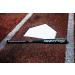 Rawlings Raptor USA Baseball Bat -10 | 26 | 1 Pc. Aluminum | Dark Green Barrel - Buy Online on GoSupps.com
