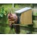 Squirrel Nut Feeder Zinc Roof Pinewood FSC 100% Wildlife Garden - Buy Online on GoSupps.com