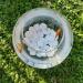 Kalapanta Recycled Plastic Decoration Stones for Vases & Aquariums - Eco-Friendly White Decor (S 2-5 cm 155 Pieces) - Buy Online on GoSupps.com
