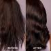Madison Reed Bonding Time Treatment - Strengthen Repair Damaged Hair & Protect Color | International Shipping - Buy Online on GoSupps.com