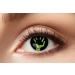 Eyecatcher 84080441-941 - Colored contact lenses 1 pair for 12 months black green carnival Mardi Gras Halloween green hand