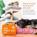 ARCA PET Cat & Dog First Aid Kit - Emergency Pet Travel Kit with Thermometer, Tick Remover & More | Neon Orange - Buy Online on GoSupps.com