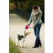 Buy Flexi Retractable Dog Leash 4.6m Small Red - Best for Small Dogs | International Shipping Available - Buy Online on GoSupps.com