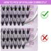 KISSXIAOYA Cluster Eyelashes Extensions 240pcs 12mm 40D 0.07D Curl | Natural False Individual Lashes for DIY Eyelash Extension - Buy Online on GoSupps.com