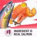 Beyond Superfood Blend Natural Dry Dog Food Wild Caught Salmon Egg & Pumpkin - 10.2 kg Bag 10.2 kg (Pack of 1) Dog Food - Buy Online on GoSupps.com