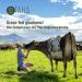Taha Health & Nutrition Mind+Body+Soul Protein Blend - Madagascan Vanilla | 25g Protein from Grass-Fed Whey & Collagen | 400mg Milk Phospholipids | 2LB (Free-Range Dairy International Shipping - Buy Online on GoSupps.com