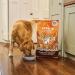 Lily's Kitchen Complete and Natural Dog Food - Chicken & Duck (4 x 1kg) - Buy Online on GoSupps.com