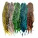 HAPPY FEATHER 6-9 inch Natural Guinea Wing Plumage Feather for DIY Craft Jewelry and Clothing Decoration Pack of 20-Multi Color Multi- color Guinea wing plumage Feather