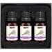 Brubaker 3-Set Lavender Oil - Stress Relief & Relaxation Essential Oil Gift Set | Vegan Aromatherapy (3 x 10 ml) - Perfect for Sleep - Buy Online on GoSupps.com