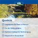 Buy S ll 80382 Dr.Roth's Pond Clear - 3 kg Microbiological Cleaner & Algae Prevention for 60 000 Liters - Natural Water Treatment - Buy Online on GoSupps.com