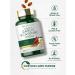 Carlyle Odorless Garlic and Cayenne 1150mg | 200 Softgels | Non-GMO Gluten Free Supplement - Buy Online on GoSupps.com