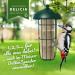 DELICIA Premium Insect Bird Balls - 6 Pack for Garden & Wild Birds | Meisen Dumplings with Hangers - High-Quality Bird Feed - Buy Online on GoSupps.com