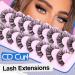 Ruairie DIY Wispy Lash Extension Kit - 8 Pairs Natural Fluffy Individual Lashes 8-16MM - Buy Online on GoSupps.com