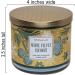 Shop White Barn 3-Wick Candle with Essential Oils - White Velvet Coconut - 14.5 oz | International Shipping Available - Buy Online on GoSupps.com