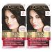 L'Oreal Paris Excellence Creme Permanent Hair Color  4 Dark Brown  100 percent Gray Coverage Hair Dye  Pack of 2 2 Count (Pack of 1) 4 Dark Brown