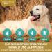 Premium Tick Spray for Dogs - 250ml | Natural & Effective Protection Against Ticks | Made in Germany - Buy Online on GoSupps.com