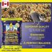 Hagen Gourmet Seed Mix for Cockatiels + Small Hookbills | Cockatiel Staple VME Seed Bundle Seed Mix + VME Seed 5-Pound - Buy Online on GoSupps.com