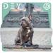 Dey Premium Dog Leash 2m | Reflective 3-Way Adjustable for Small to Large Dogs | Multiple Colors Available | Doubleein Dog Leash | Ideal for Puppies - Buy Online on GoSupps.com