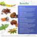 Wild & Organic Lung Health Support Gummies - Respiratory System Aid with Mullein, Pine Bark, Chaga, Cordyceps, Reishi, Stinging Nettle, and Ginseng - 60 Chewables - Buy Online on GoSupps.com