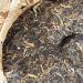 Pu-erh tea 2012 Xishuangbanna Extraterrestrial tea source 400g Raw - Buy Online on GoSupps.com