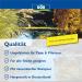S ll 80505 Phoslock Algae Stop - Phosphate Binder 100g for Year-Round Pond Maintenance & Algae Prevention - Buy Online on GoSupps.com