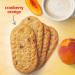 belVita Cranberry Orange Breakfast Biscuits - 5 Packs (4 Biscuits Per Pack) - Buy Online on GoSupps.com