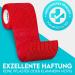 Hund ist K nig Self-Adhesive Elastic Binding Bandage 12x4.7m - Ideal for Humans & Animals - 12 Rolls (5cm x 4.7m) Red - Shop Now! - Buy Online on GoSupps.com