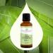 Buy Plant Therapy Organic Lemon Eucalyptus Essential Oil - 100% Pure USDA Certified Organic Therapeutic Grade Aromatherapy - 30 mL (1 oz) - International Shipping Available - Buy Online on GoSupps.com