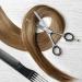 Buy Asipro 6.5 Effilting Scissors for Hairdressers | Professional Thinning Scissors with Leather Case | Ideal for Women Men Kids & Pets - Buy Online on GoSupps.com