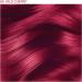 Adore Shining Semi Permanent Hair Colour 69 Wild Cherry 118ml - Pack of 1 - Buy Online on GoSupps.com