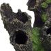 Relaxdays Aquarium Decoration - Tree Trunk Cave Hiding Place | Natural Look 16.5x15.5x11 cm | Black-Green Aquarium Accessory - Buy Online on GoSupps.com