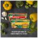 Knorr Homestyle Stock Beef Concentrated Broth 4.66 oz 4 ct - Rich and Flavorful - Buy Online on GoSupps.com