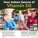 Vitamin D3 K2 Zinc Supplement - High Strength Formula with Vitamin K2 Mk7, Zinc, Boron, and MCT Oil - 4000IU - 120 Capsules - Made in the UK - Buy Online on GoSupps.com