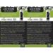 Safe Solutions Lice R Gone Nontoxic Shampoo 8 oz. - Gentle and Effective Treatment - Buy Online on GoSupps.com