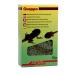 Lucky Reptile Quappo 70g special food for tadpoles 2 70 g (pack of 2)