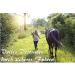 Shop Leading Knit with Panic Hooks for Horses | Stylish Designs for Leashes Tie Ropes & More - Ideal for Ponies Donkeys & Goats - Buy Online on GoSupps.com