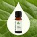 Plant Therapy Organic Oregano Essential Oil 100% Pure USDA Certified Organic Undiluted Natural Aromatherapy Therapeutic Grade 10 mL (1/3 oz) - Buy Online on GoSupps.com